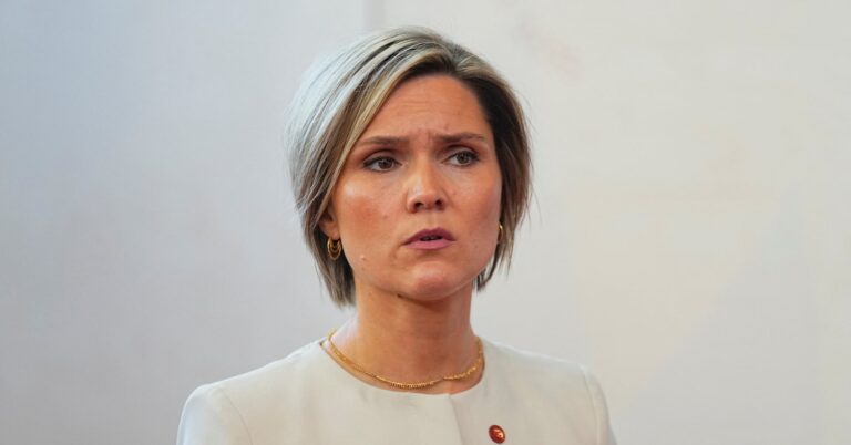 Iceland to hold EU referendum “over the coming months”, PM says