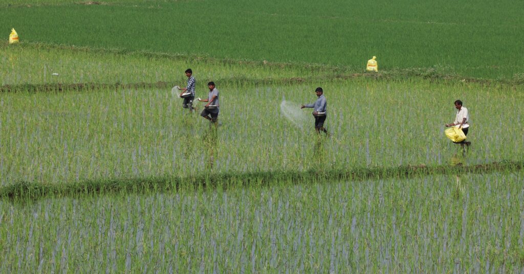 India File: Iran war reverberates from farmlands to diamond vaults