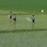 India File: Iran war reverberates from farmlands to diamond vaults