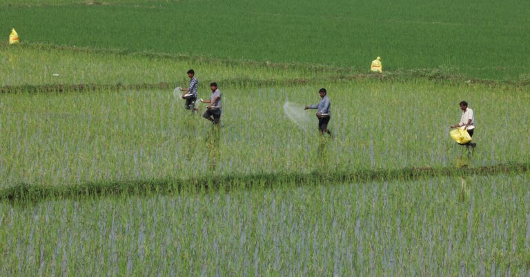 India File: Iran war reverberates from farmlands to diamond vaults