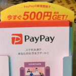 SoftBank’s PayPay set for hotly anticipated Nasdaq debut after raising $880 million