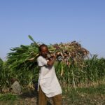 War in Iran threatens fresh food-price shock across developing world