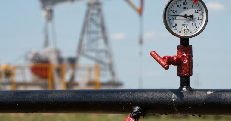 Gulf oil shock creates new hierarchies of pain