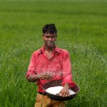 India in talks with Russia, Belarus, Morocco to boost fertiliser imports, sources say