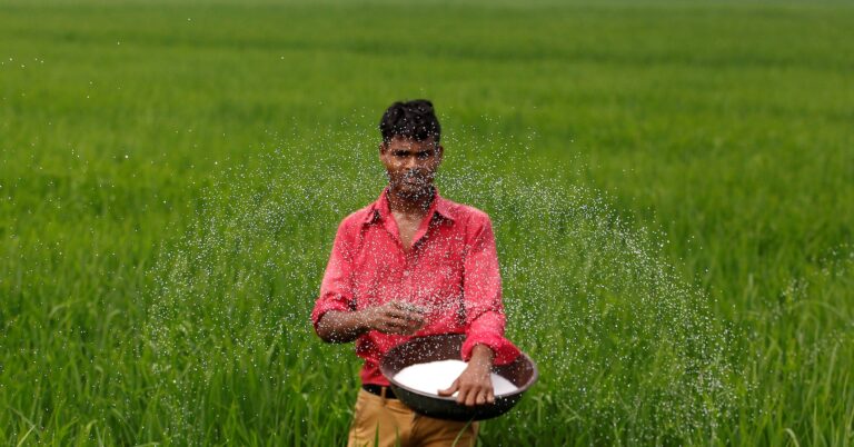 India in talks with Russia, Belarus, Morocco to boost fertiliser imports, sources say