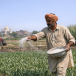 India’s Fertiliser Production Hits Five-Year Low in March